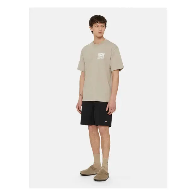 Dickies Saltville T-Shirt Sandstone